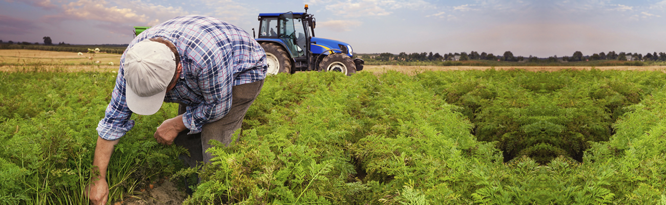 Golden State Crop & Insurance Services was first f ...